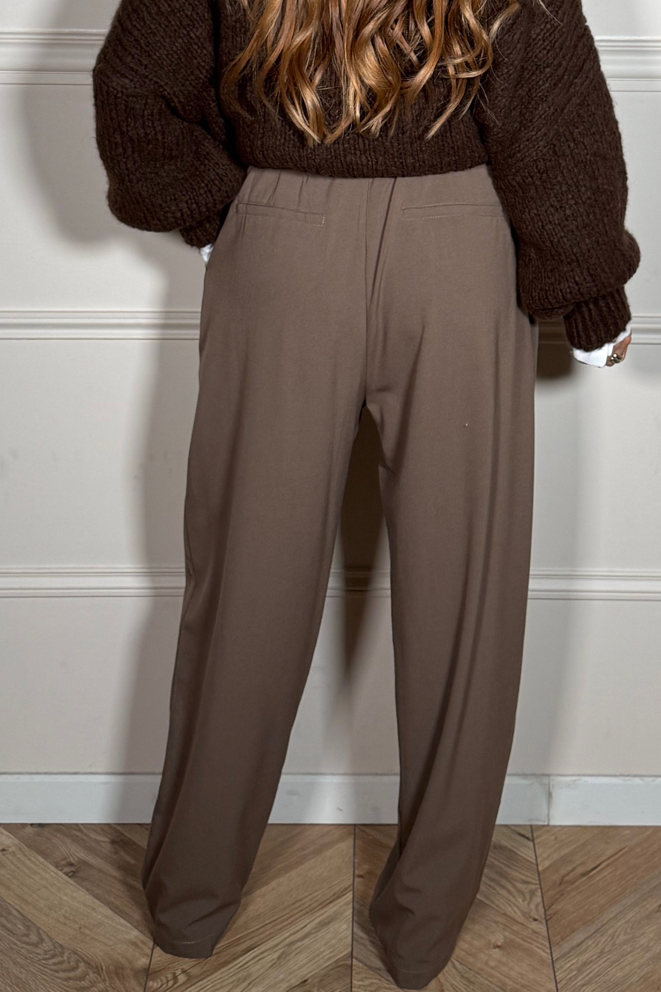 Pantalon pinces tailleur - Vue d'ensemble
